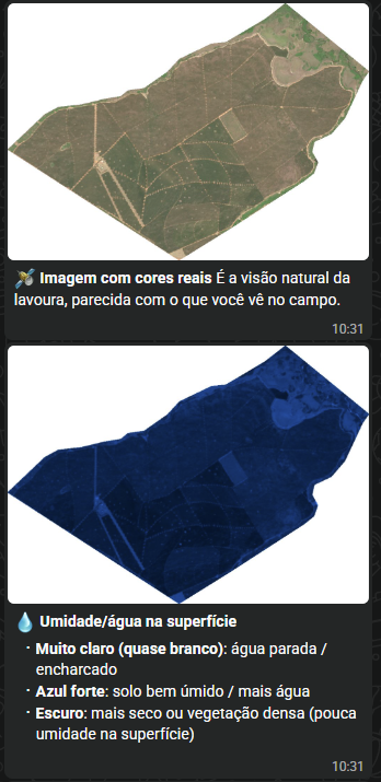 Exemplo de imagens de satélite com cores reais e umidade da superfície