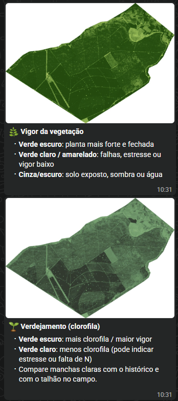 Exemplo de imagens de satélite de vigor da vegetação e clorofila