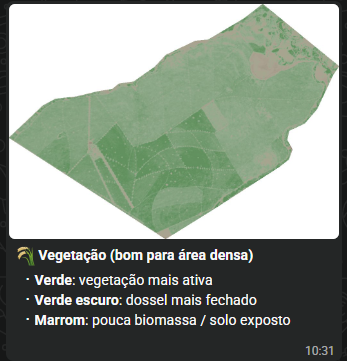Exemplo de imagem de satélite para vegetação em área densa