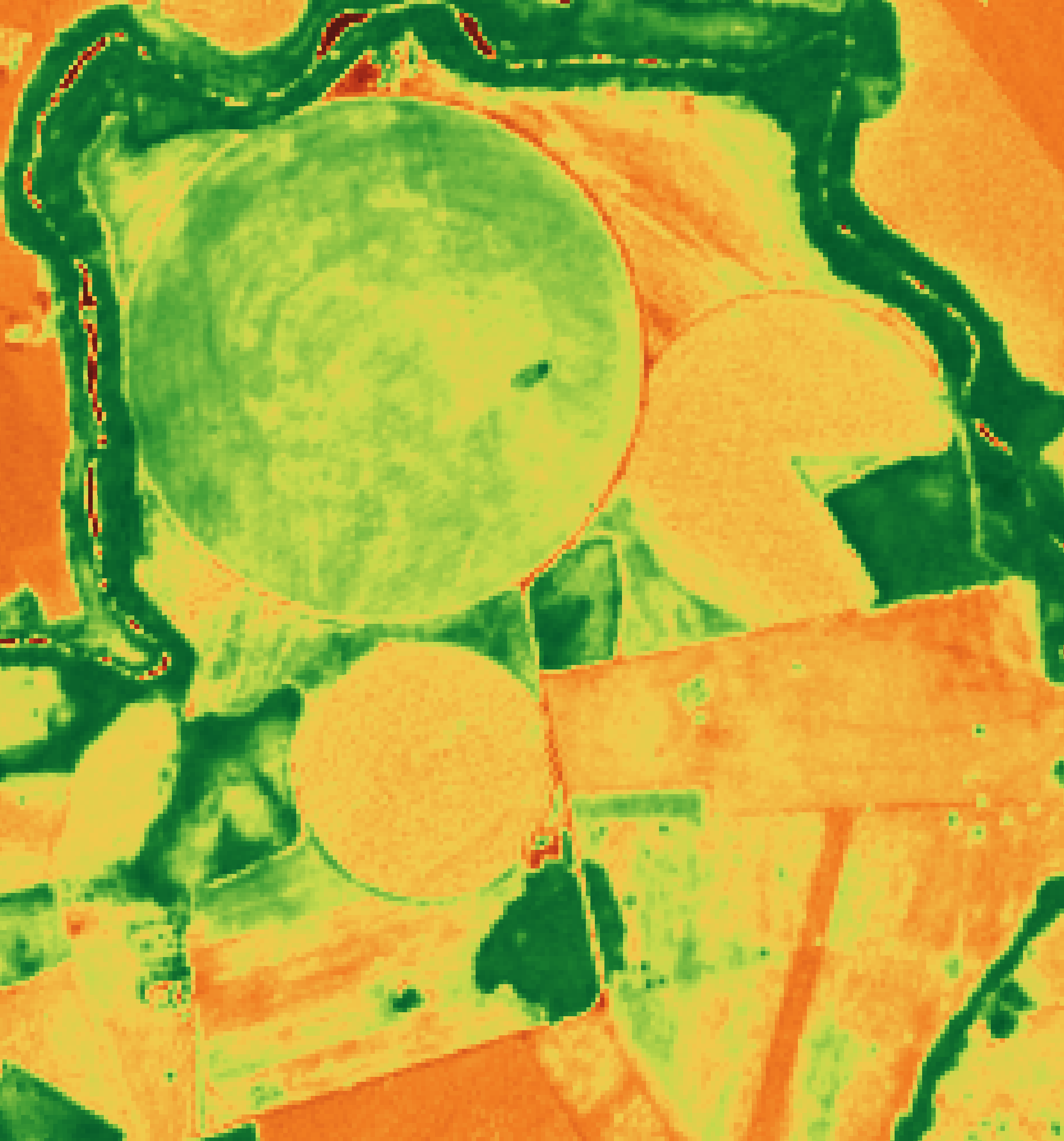 Exemplo de mapa NDVI colorido em verde, amarelo e vermelho para indicar pontos de atenção na área